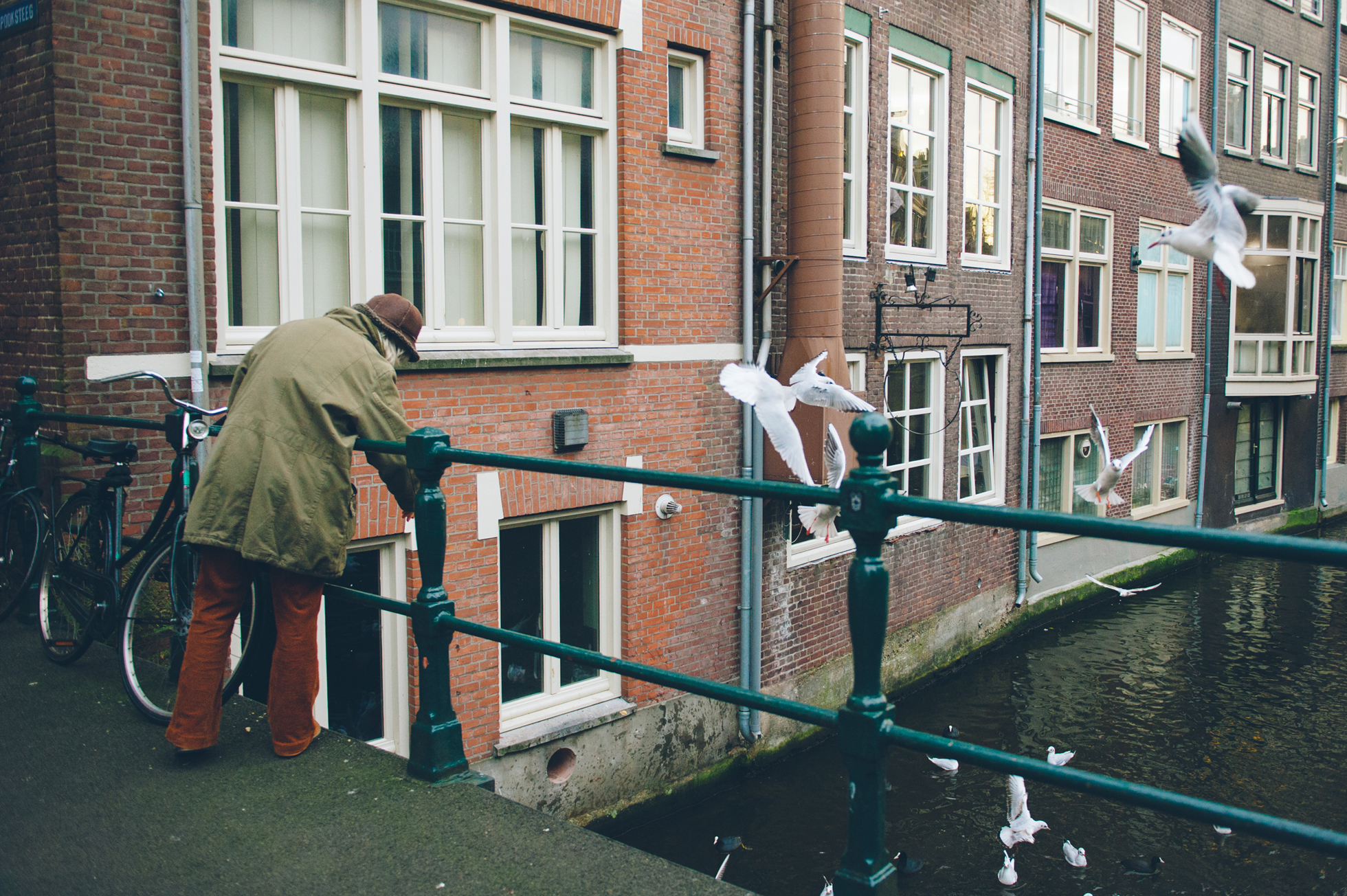 old women birds feed amsterdam holland