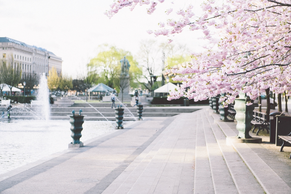 Couple session in Stockholm. Par portratt fotografering i Stockholm.