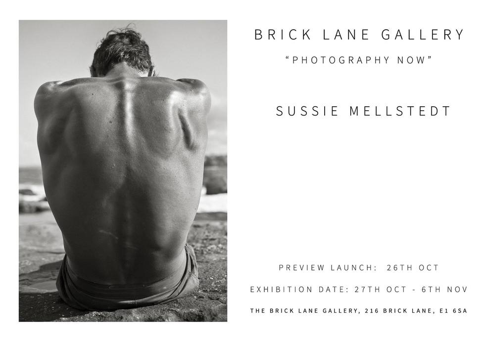 exhibition, london, artist, sussie mellstedt, sussie mellstedt photography