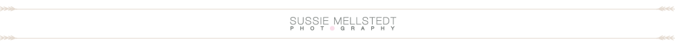 Sussie Mellstedt Photography logo